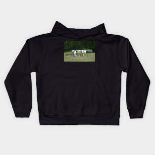 Wild Horses Kids Hoodie